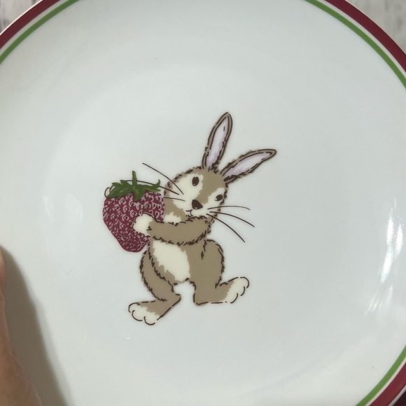 WORLD MARKET easter themed 8pc of 8” Colorful Rabbit Design Dinner Plates Set - Picture 10 of 11